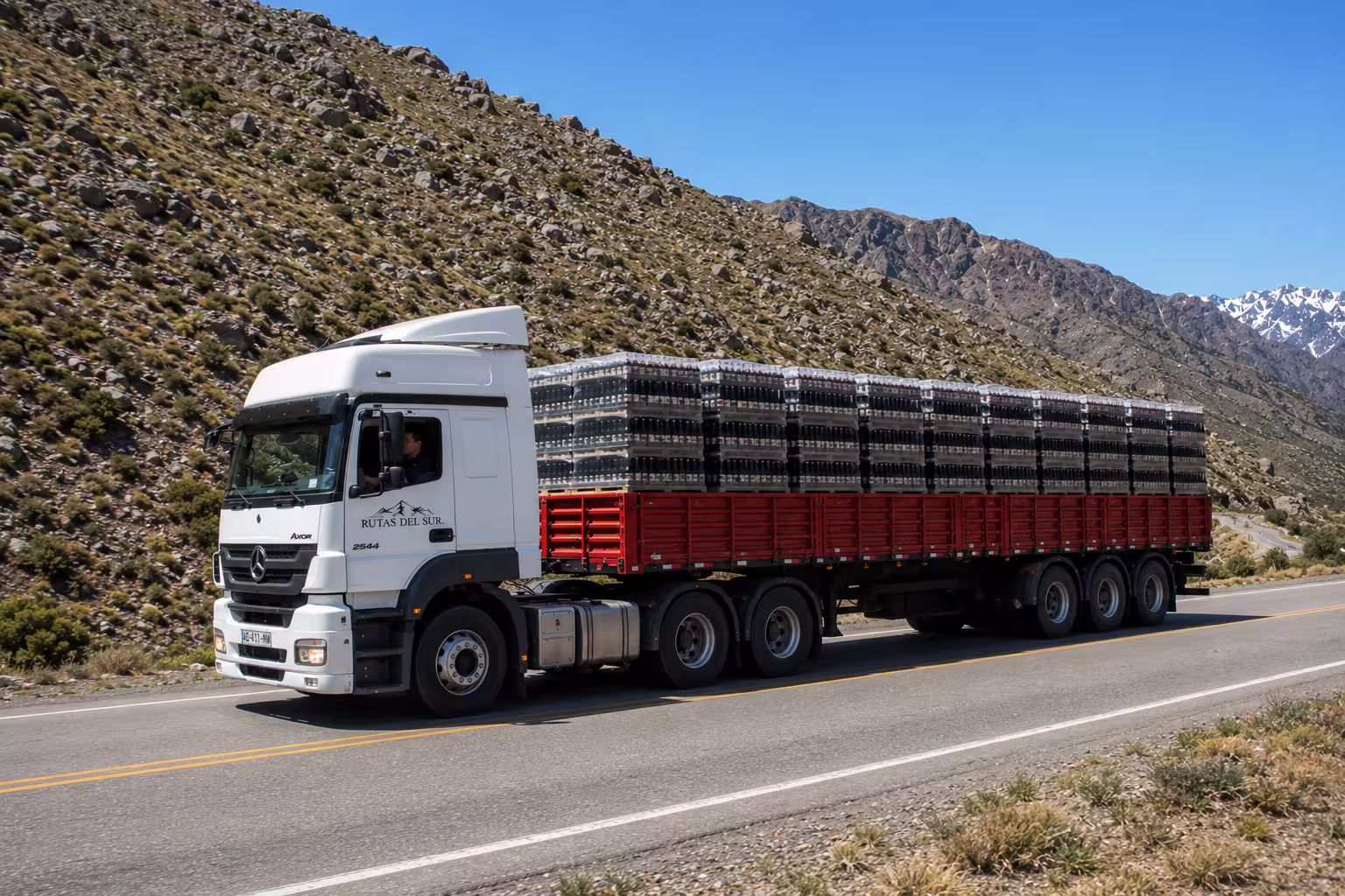 Camión semirremolque de Rutas del Sur S.A. en ruta, servicio de transporte de carga desde Mendoza